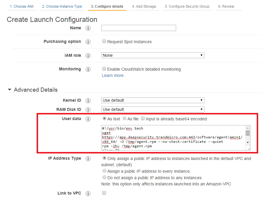 AWS launch configuration Advanced Details