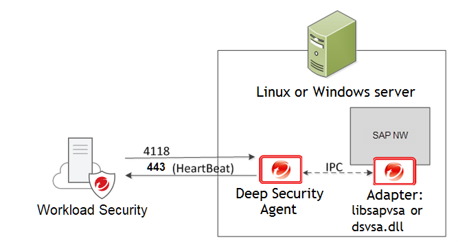 SAP architecture